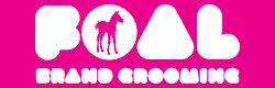 Foal