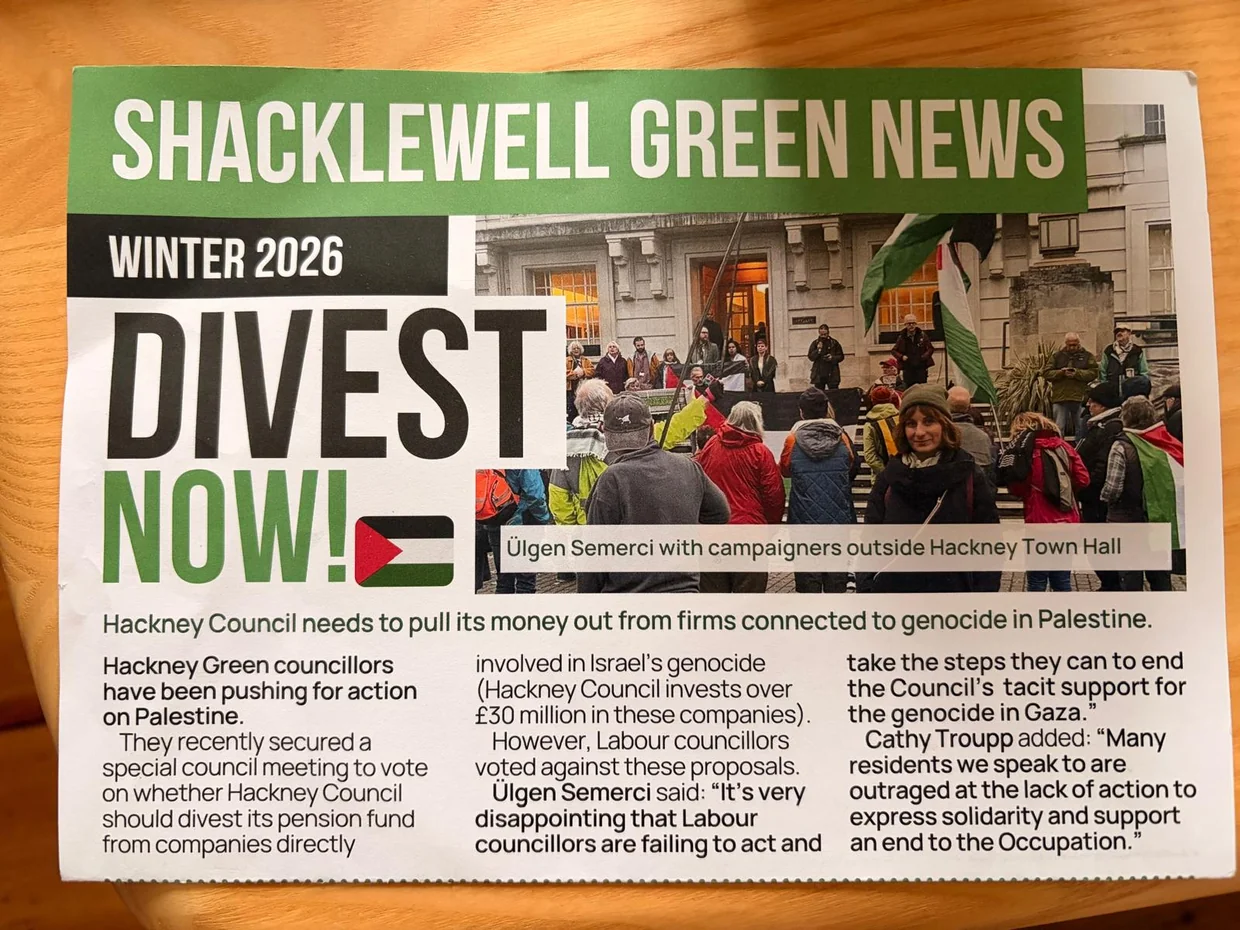 Divest Now Green party leaflet