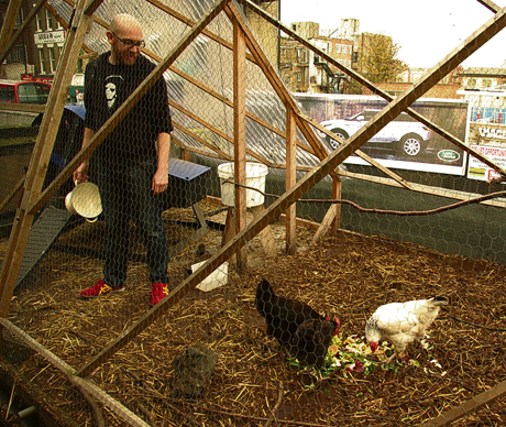Farm Shop chickens