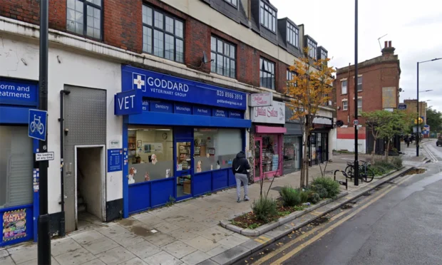 Goddard Veterinary Group Practice in Well Street