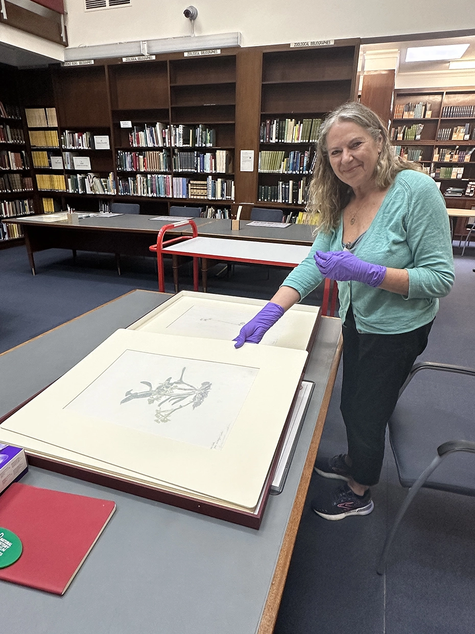 Jan Fuscoe at the Natural History Museum