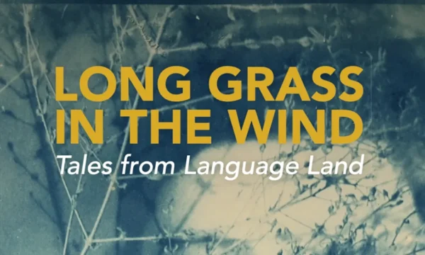 A book cover that reads Long Grass in the Wind: Tales from Language Land. The cover photo behind the text is a close up of a plant