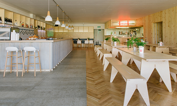 Mason and Company interiors