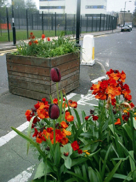 My Garden Photo Peter Jones 006 Dalston’s box junction. Photo: © Peter Jones