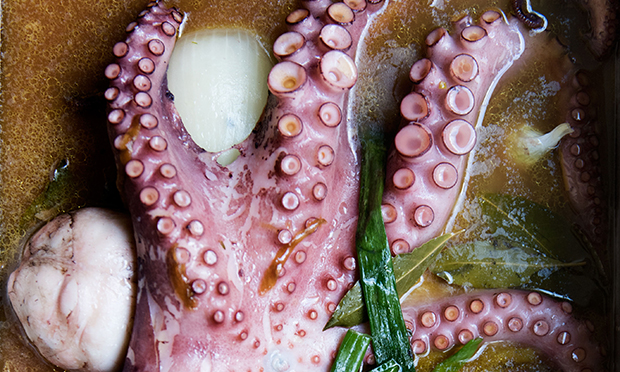 Tentacle temptation: Octopus at Morito