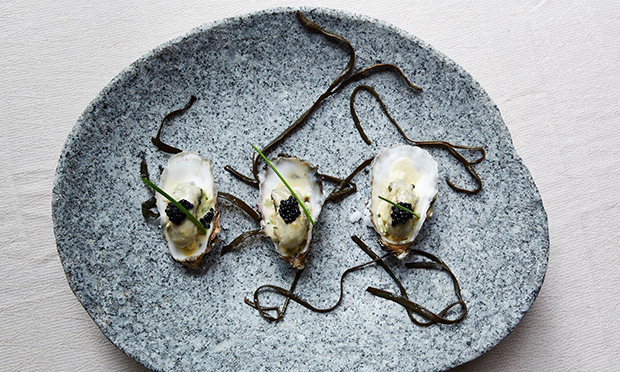 Oyster dish at Chriskitch