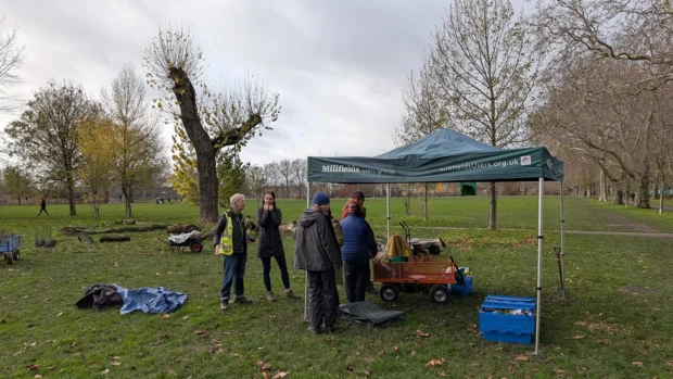 Tree Musketeers in park
