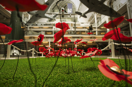 Poppies and planes Imperial War Museum Photo IWM web Poppies and planes Imperial War Museum