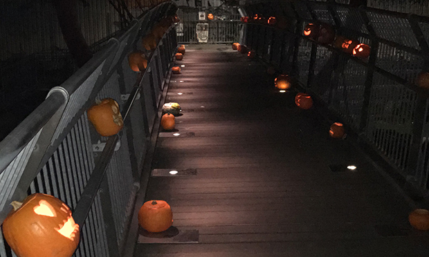 Pumpkin Bridge at night