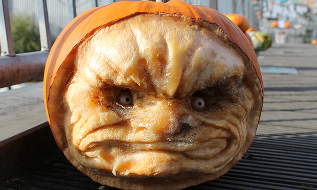 Pumpkin detail