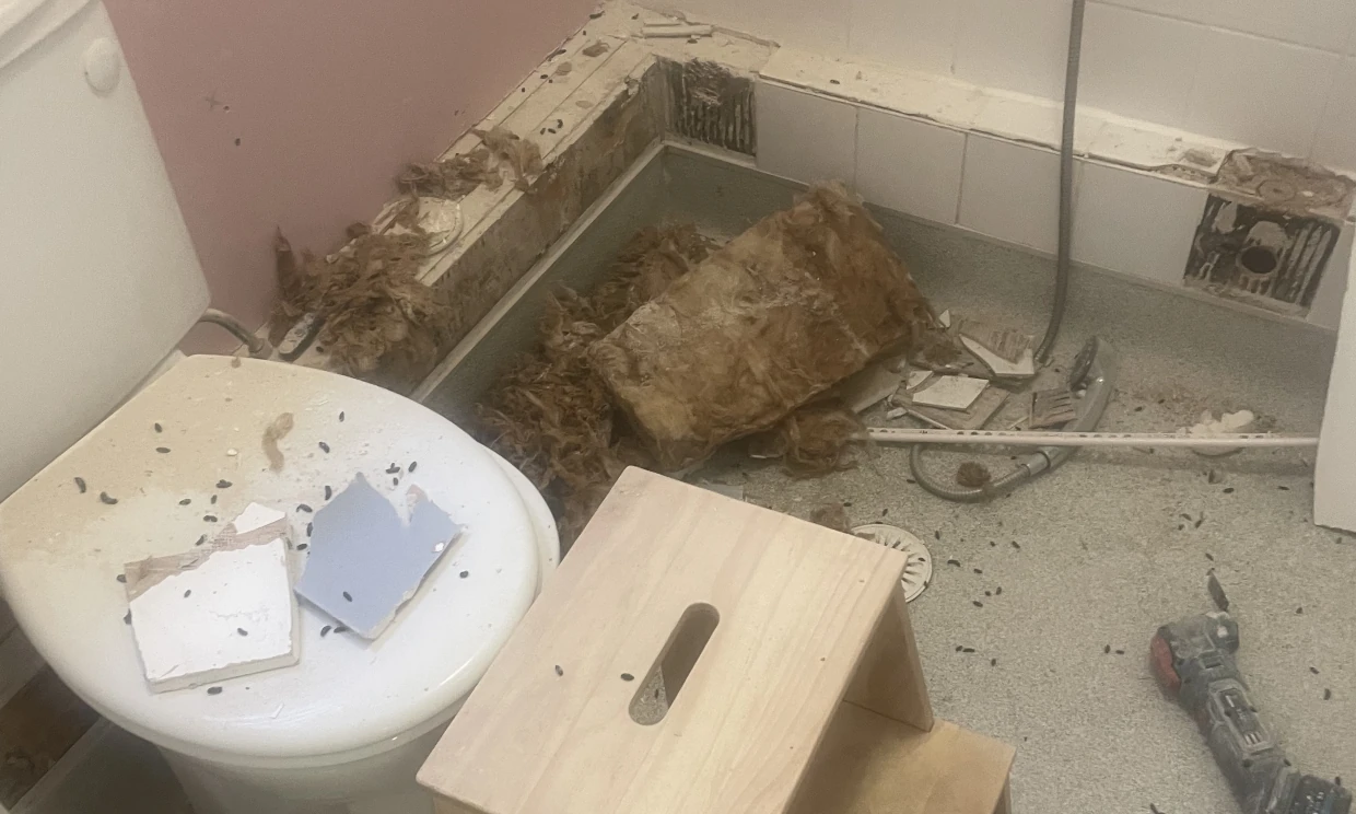 A picture of a bathroom, there is a lot of debris caused by rats on the rat