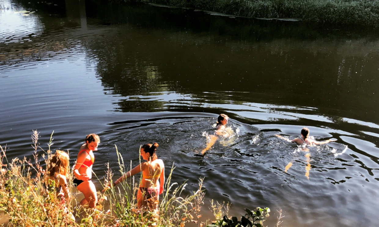 People swim in the River Lea on a sunny day.