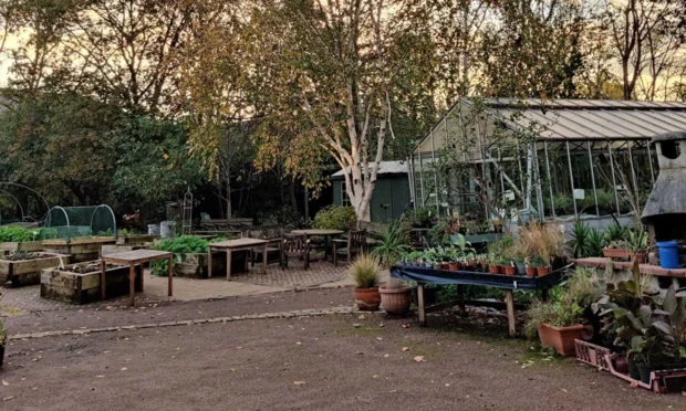 St Mary's Secret Garden