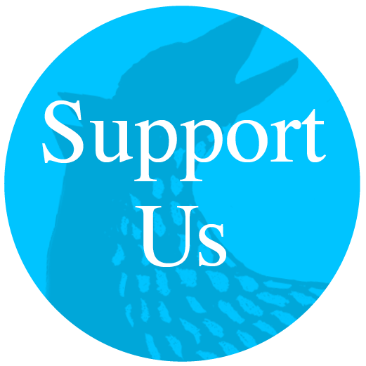 Support the Hackney Citizen