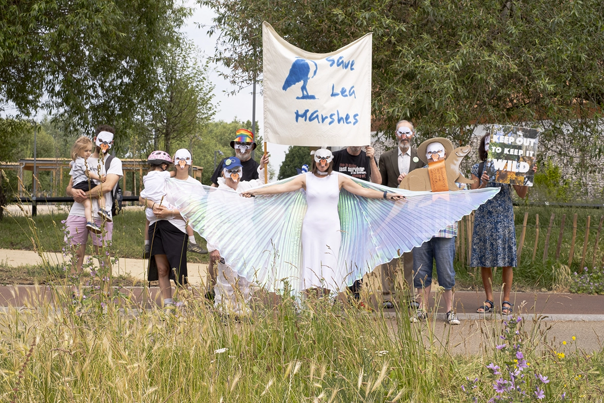 Swan protest in front of the ice centre