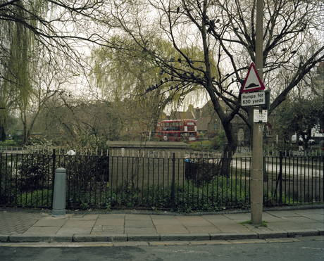 The Town Pigeon by Stephen Gill A Book of Birds 006