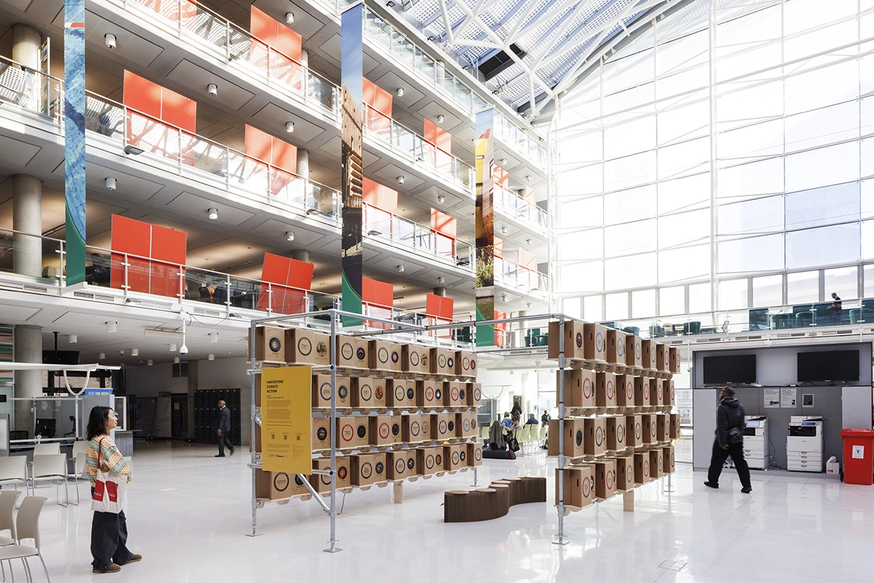 Ling Tan's cardboard creation