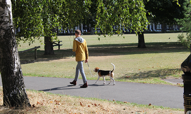 A man walking a dog on Hackney Downs today. The council has said people should be vigilant after a string of apparent poisonings of dogs