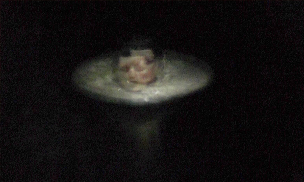 One of Pearl's images, created using the Pepper's ghost technique. Image courtesy the artist