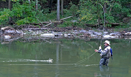 The Project Healing Waters Fly Fishing (PHWFF) – Quantico and Fort Belvoir Programs hosted a day trip on private access to the North Fork Shenandoah River near Maurertown, Va., Saturday, Sept. 29.  Nine Volunteer Guides and Warriors from both programs attended the all-day event and the cold morning haze lifted to a brilliantly sunny, cool day. Participants waded into the cool water and fished on more than a half mile of direct access to the Shenandoah River, on private property. Several different fish were caught including bluegill, small mouth bass, and sun fish.  Two new Warriors attended and both were put on fish!!  This event was held on the private property of a new PHWFF supporter and Navy veteran. We are grateful for the opportunity, the hospitality and the incredible scenery for the day’s fishing. (Photos by Lalita Laksbergs)