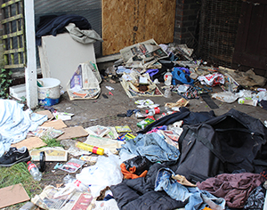 Trashed: how the back of the old park keeper's lodge looks at present. Photograph: Andrew Barnes