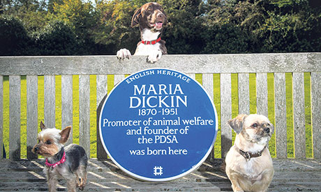 Hackney animal rights campaigner Maria Dickin honoured with blue plaque –  Hackney Citizen