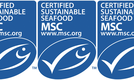 marine stewardship council logo 007 marine stewardship council