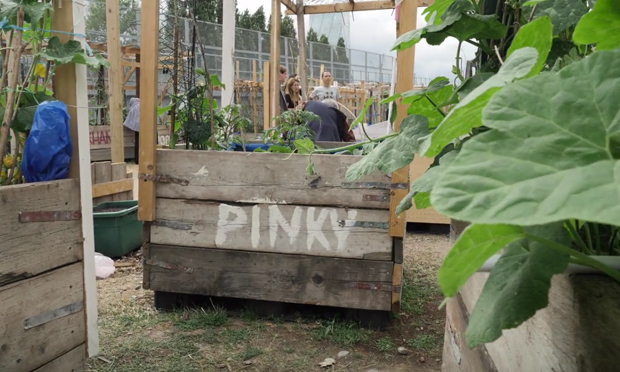 moveable allotment Nomadic Community Gardens