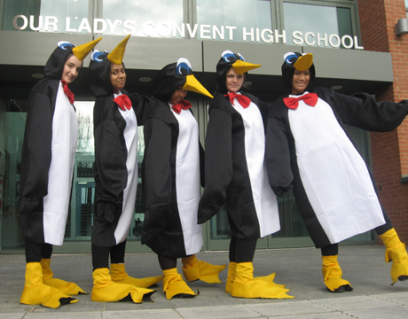 our ladys convent high school penguins web our ladys convent high school penguins