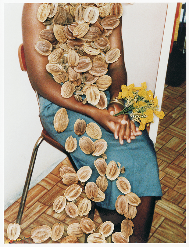 stephen-gill Untitled, from Hackney Flowers (2007)