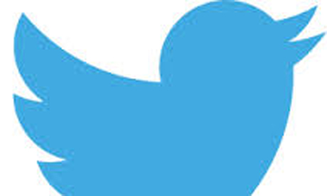 Freedom of tweets: The Twitter logo. Photograph: Twitter