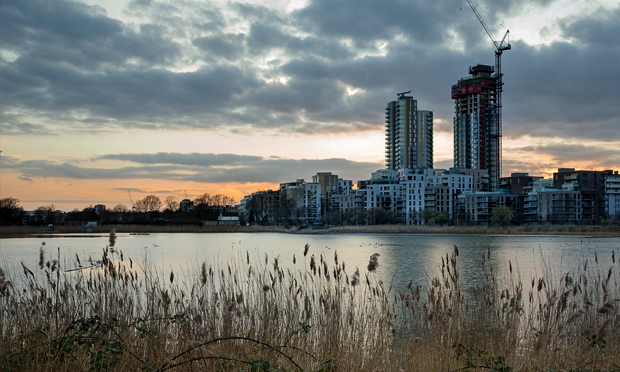 Long-necked crane - a view of Woodberry Wetlands. Photograph: Penny Dixie